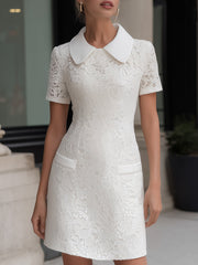 Lace Peter Pan Collar Tailored Mini Dress