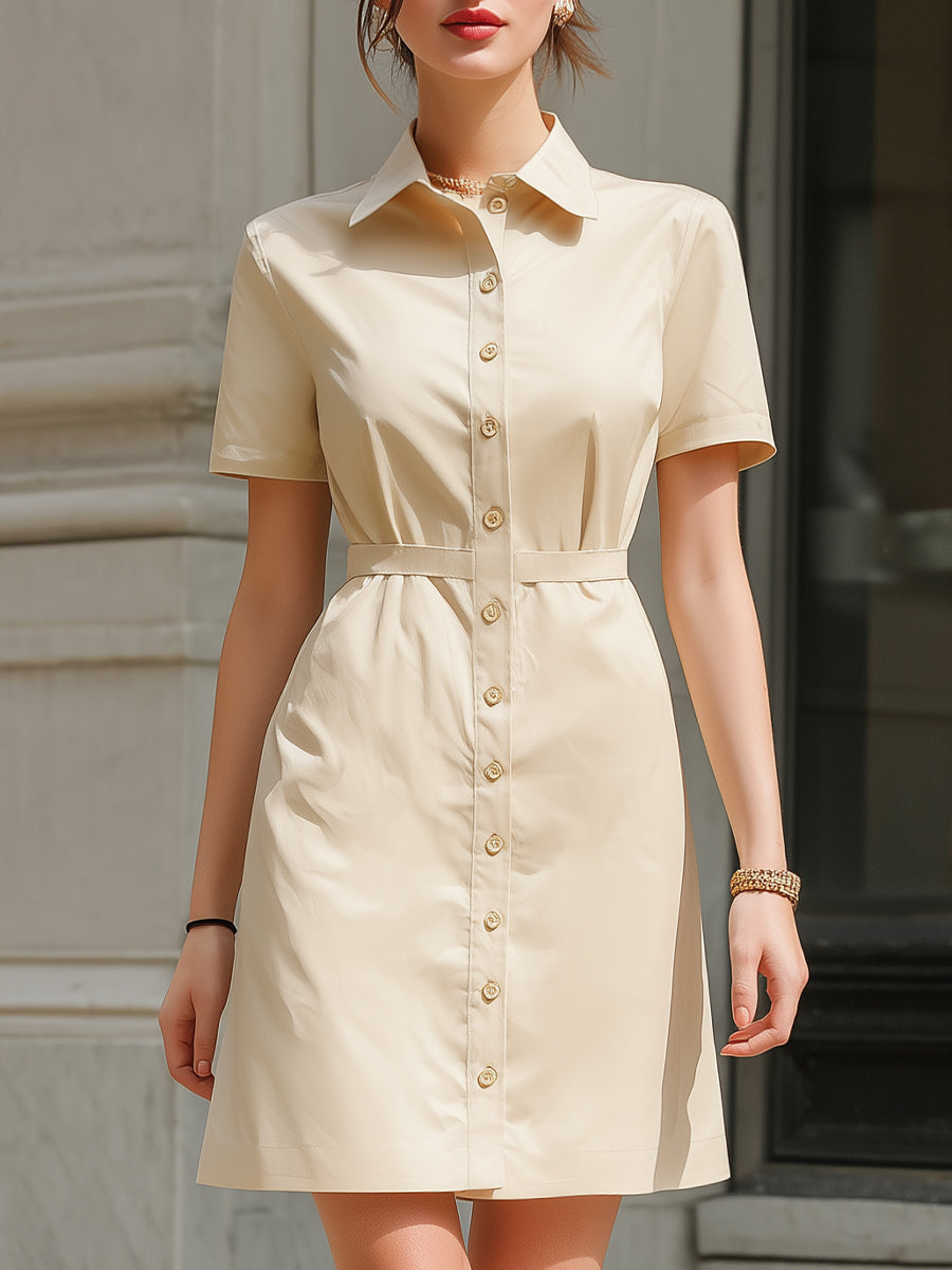 Short Sleeve Button-Down Shirt Dress