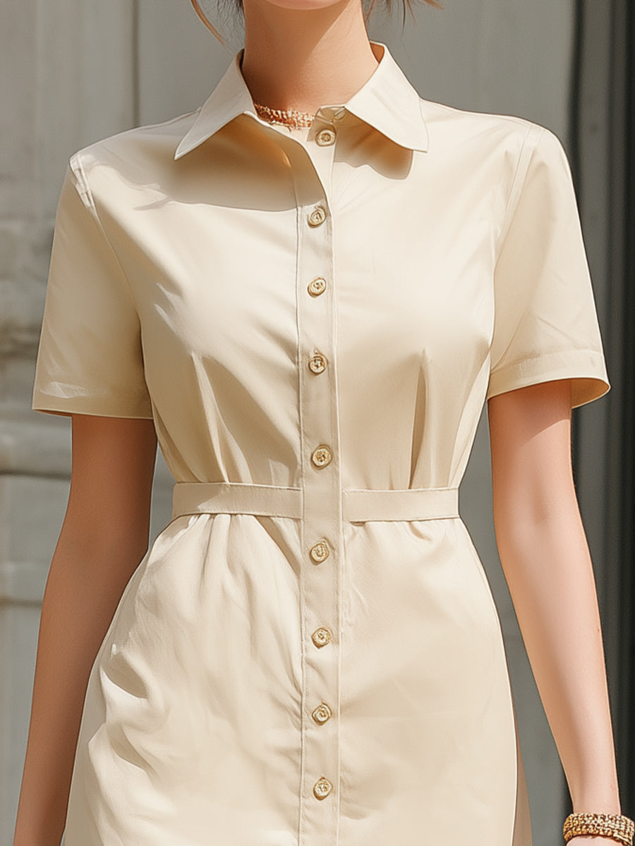 Short Sleeve Button-Down Shirt Dress