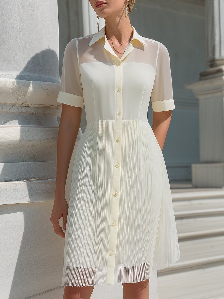 Short Sleeves Sheer Panel Pleated Shirt Dress