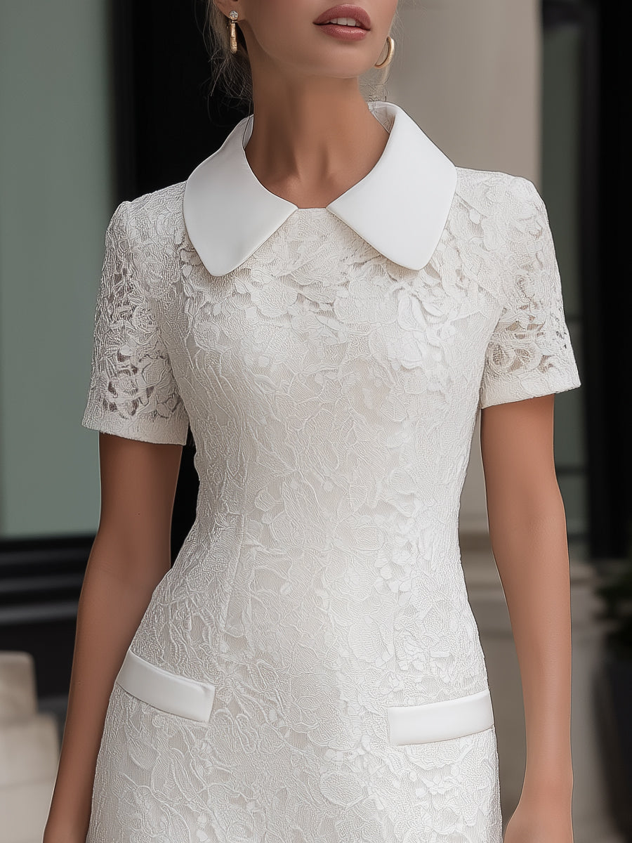 Lace Peter Pan Collar Tailored Mini Dress