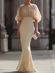 Gathered Sheer Sleeve Mermaid Evening Dress